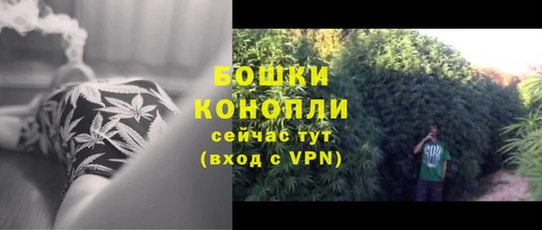 МДПВ Горняк