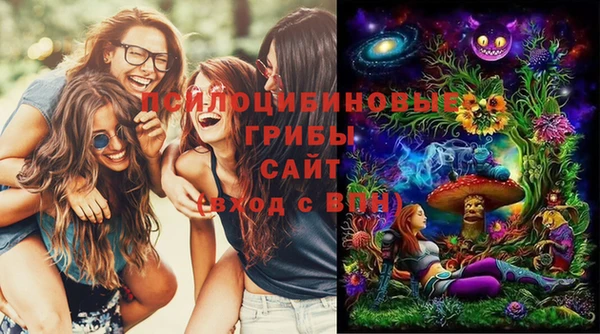 МДПВ Горняк