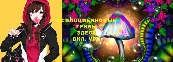 метадон Горнозаводск