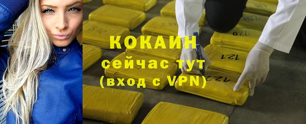 мдпв Вязники